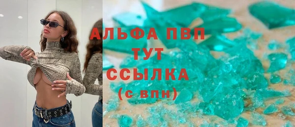 крисы Алзамай